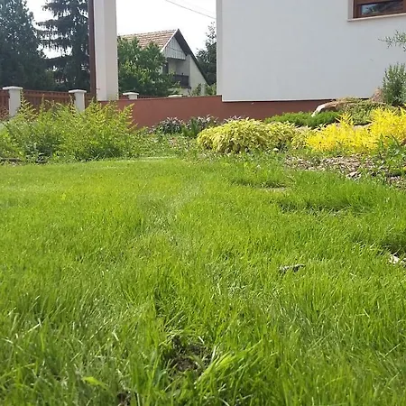 Vadlud Vendeghaz Maison d'hôtes
